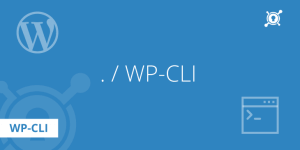 Read more about the article WordPress ja WP-CLI: Asennus