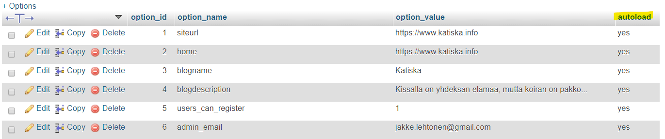 Ote wp_options tietokantataulun sisällöstä