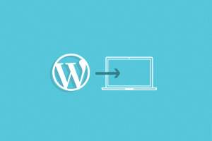 Read more about the article WordPressin nopein asennus: WP-CLI