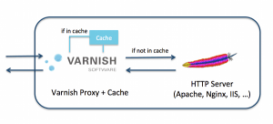 Read more about the article Nginx: SSL ja HTTP/ 2 + Varnish/Apache2/PHP-FPM