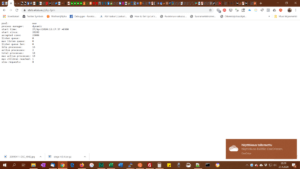Read more about the article Serverin rasitustesti: Siege ja ab (ApacheBenchmark)