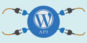 Read more about the article REST API ja wp-json: turvallisuusriski?
