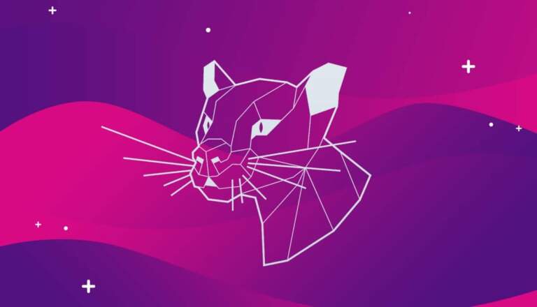 Read more about the article Kun vaihtaa vanhalta uudelle serverille: Roadmap